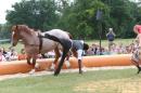 Esquisse Equestre 8 * 3504 x 2336 * (4.42MB)